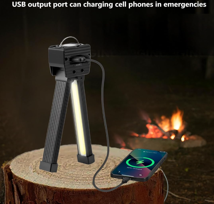 Professional GYMLAMP™