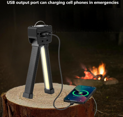 Professional GYMLAMP™